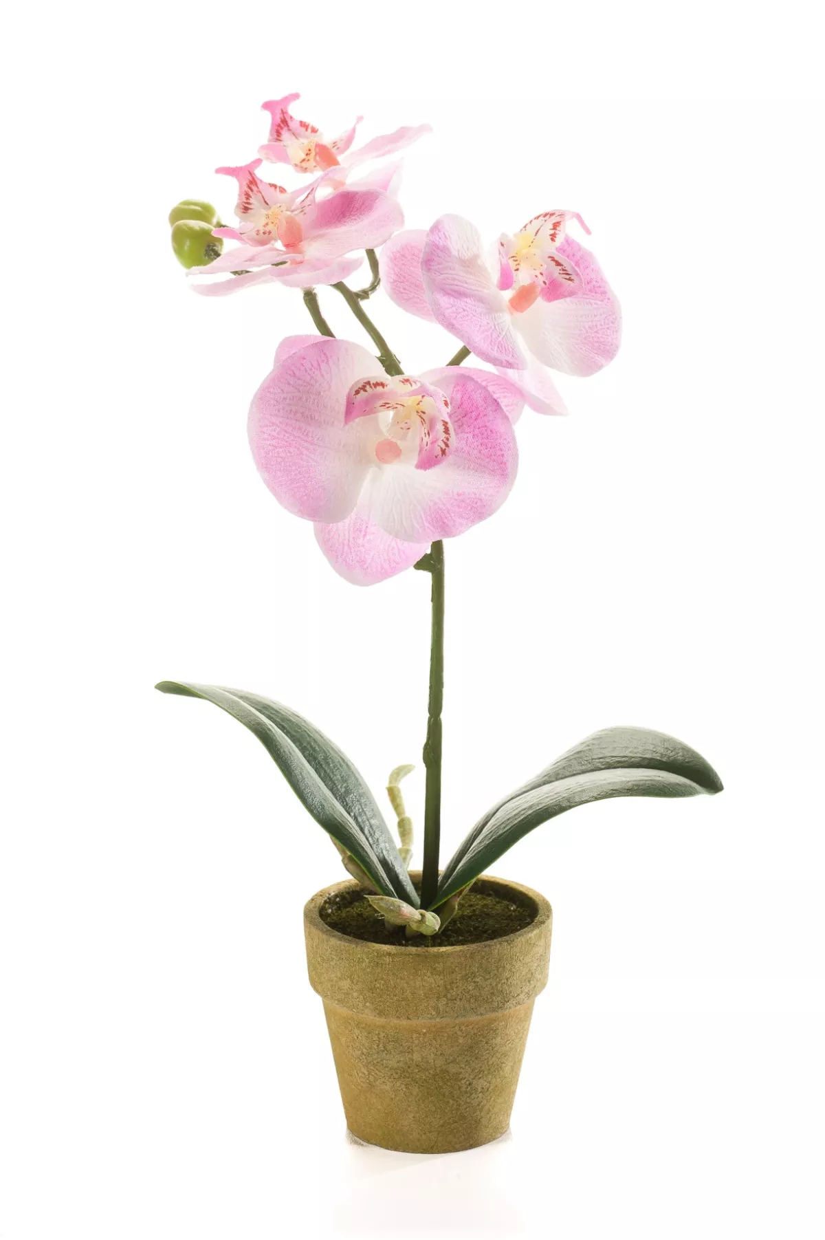#3 - Emerald - Kunstig Orkide med pink blomster H25 cm