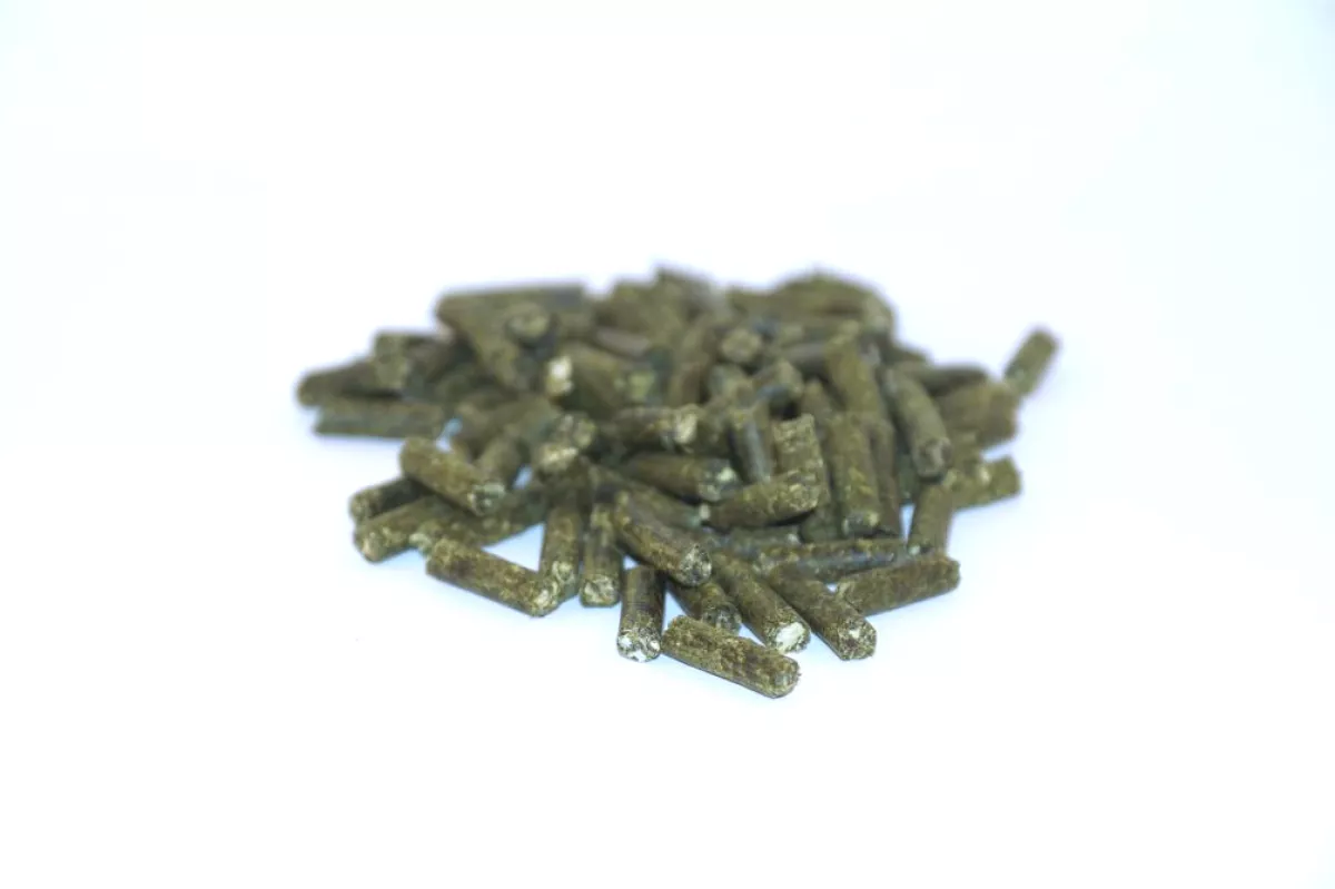 #1 - Echinacea pellets