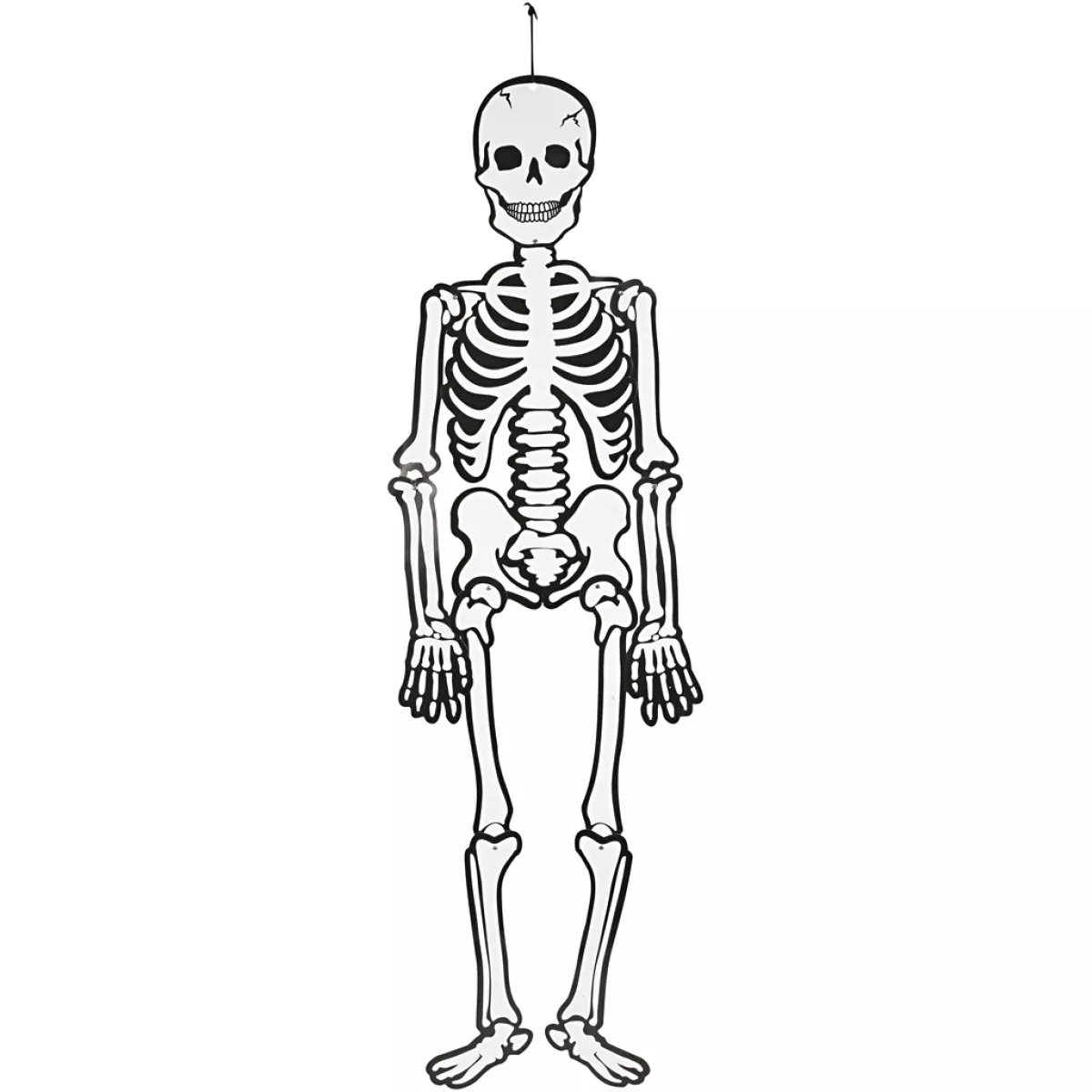 #3 - Skelet, H: 120 cm, 300 g, hvid, 1 stk.