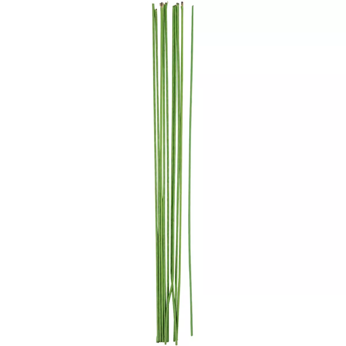 #3 - Blomsterstængel, emballage itu, L: 30 cm, B: 2 mm, grøn, 20 stk./ 1 pk.