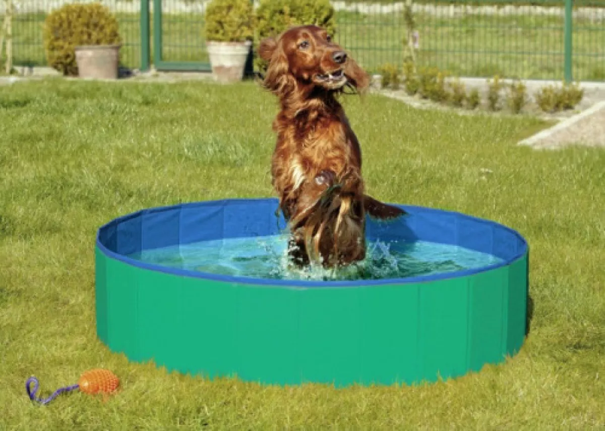 #3 - Doggy Pool. Hundepool. Grøn/Blå.