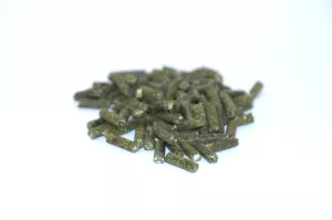 1: Echinacea pellets
