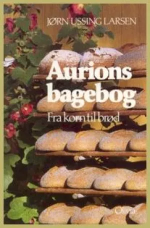 6: Aurions Bagebog