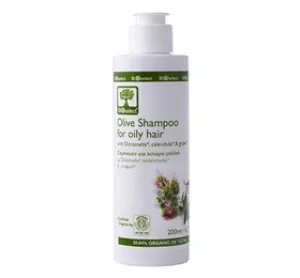 4: Olive Shampoo For Oily Hair