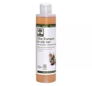 2: Olive Shampoo For Normal-Dry Hair
