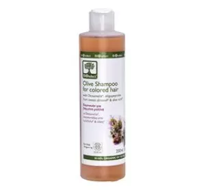 1: Olive Shampoo For Colored Hair