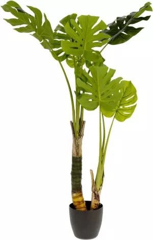 1: Monstera, Kunstig plante, moderne, kolonial, plast by LaForma (H: 130 cm. B: 60 cm. L: 60 cm., Grøn/Sort)