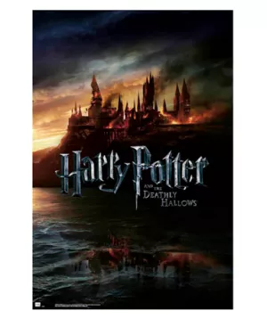 1: Harry Potter plakat 61x91cm