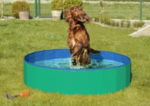 3: Doggy Pool. Hundepool. Grøn/Blå.