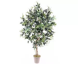 6: Oliventræ 125 cm (960 blade)