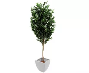 11: Oliventræ 200 cm (3.456 blade)