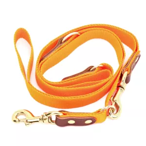 5: Orange hundesnor med karabinhage - Dressurline 25 mm x 250 cm i webbing