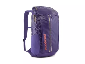 2: Patagonia Black Hole Backpack 25L-Perennial Purple (PEPL)